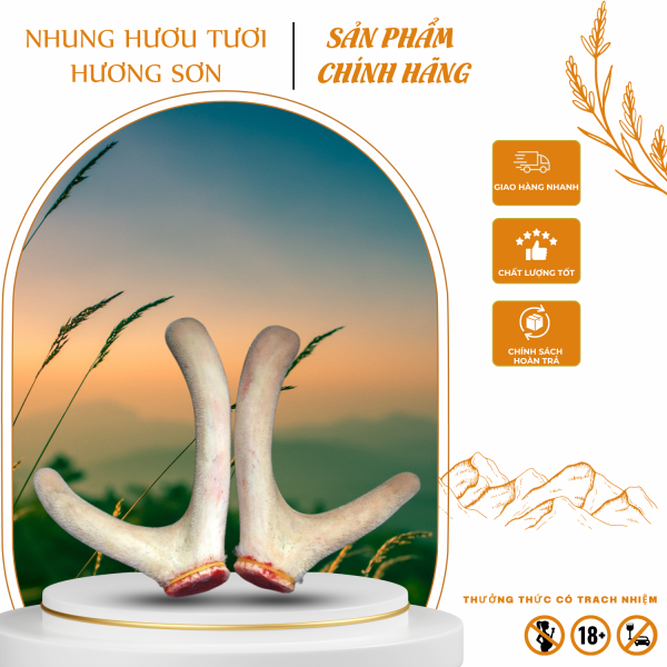 Nhung Hươu Tươi Hương Sơn Hà Tĩnh