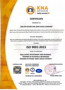 Chứng nhận ISO 9001 của Sơn An Hương Sơn